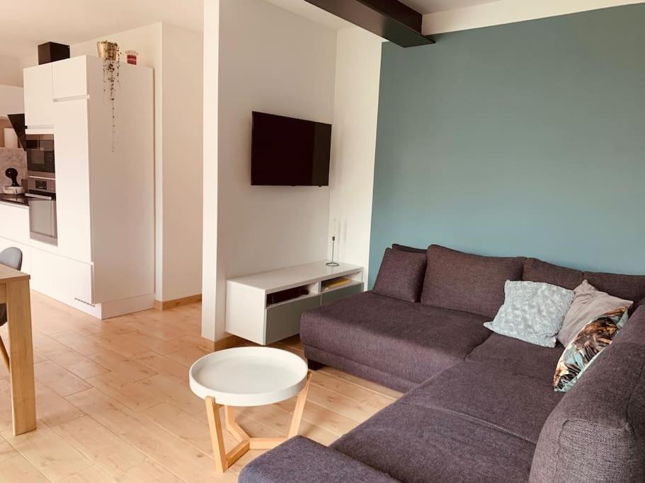 Maison En Plein Centre Avec Terrasse Et Jardin Vielsalm Exterior foto